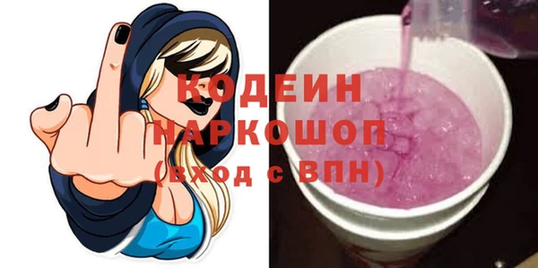 хмурый Алексин