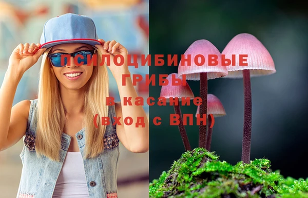 хмурый Алексин