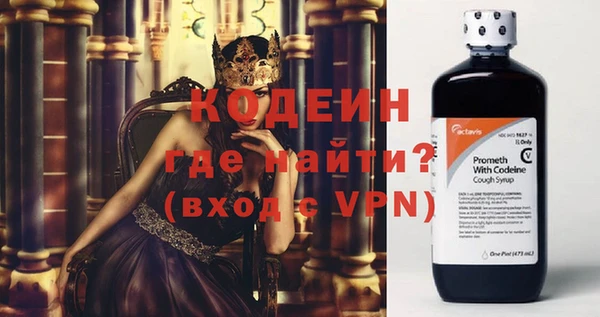 хмурый Алексин
