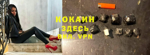 хмурый Алексин