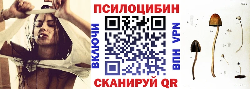 Псилоцибиновые грибы Psilocybine cubensis  дарнет шоп  Минусинск 