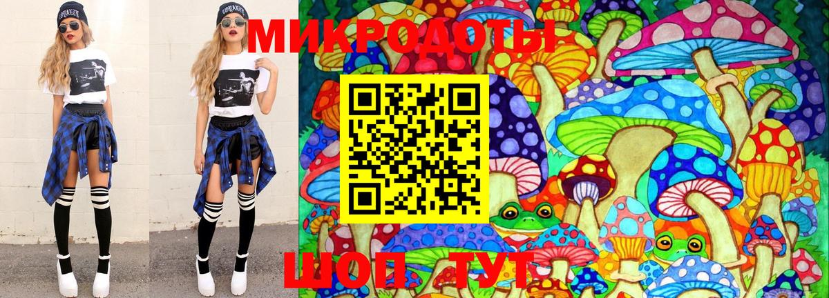 Галлюциногенные грибы Psilocybe Минусинск