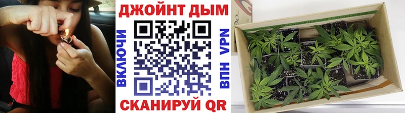 Канабис VHQ  наркота  площадка какой сайт  Минусинск 